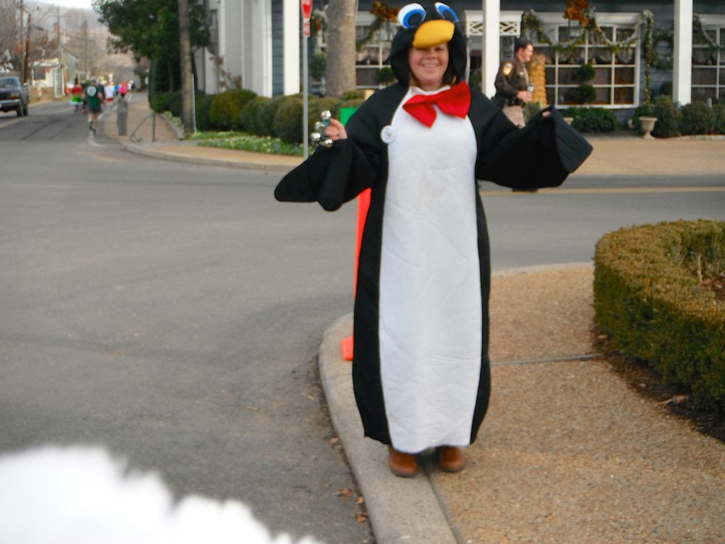 Volunteer Penguin